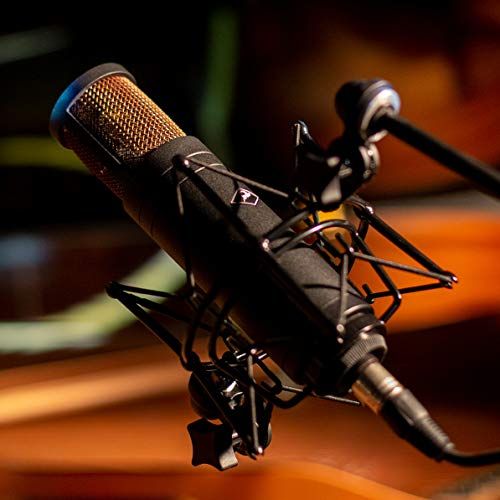 Antelope Audio Edge Solo Large Diaphragm Condenser Modeling XLR Microphone - Image 3