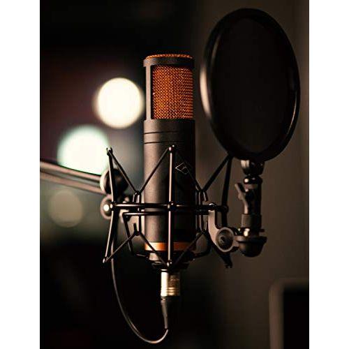 Antelope Audio Edge Solo Large Diaphragm Condenser Modeling XLR Microphone - Image 4