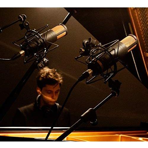 Antelope Audio Edge Solo Large Diaphragm Condenser Modeling XLR Microphone - Image 7