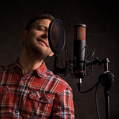 Antelope Audio Edge Solo Large Diaphragm Condenser Modeling XLR Microphone - Image 8