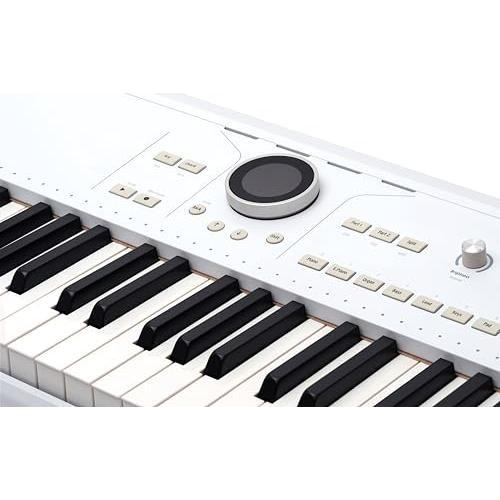 Arturia AstroLab 61-key Stage Keyboard - Image 3