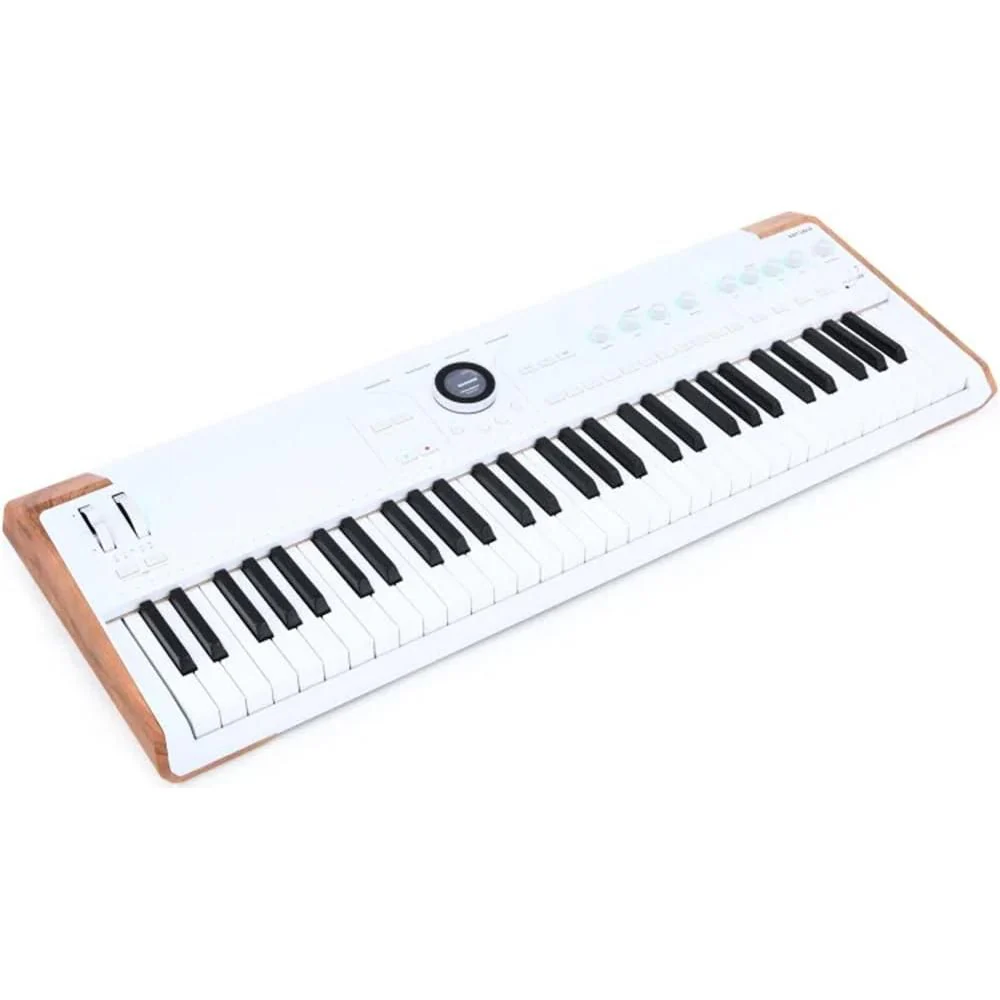 Arturia AstroLab Avant-garde 61-Key Stage Keyboard Bundle w/ 2-Pack Pig Hog PMID06 6ft MIDI Cable, Liquid Audio Sustain Pedal and Liquid Audio Polishing Cloth - Image 3