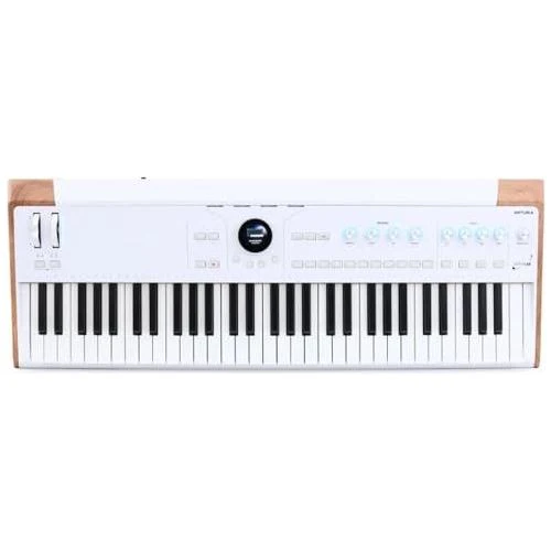 Arturia AstroLab Avant-garde 61-Key Stage Keyboard Bundle w/Pig hog PMID06 6ft MIDI Cable, Liquid Audio Sustain Pedal and Liquid Audio Polishing Cloth - Image 3