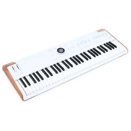 Arturia AstroLab Avant-garde 61-Key Stage Keyboard Bundle w/Pig hog PMID06 6ft MIDI Cable, Liquid Audio Sustain Pedal and Liquid Audio Polishing Cloth - Image 5