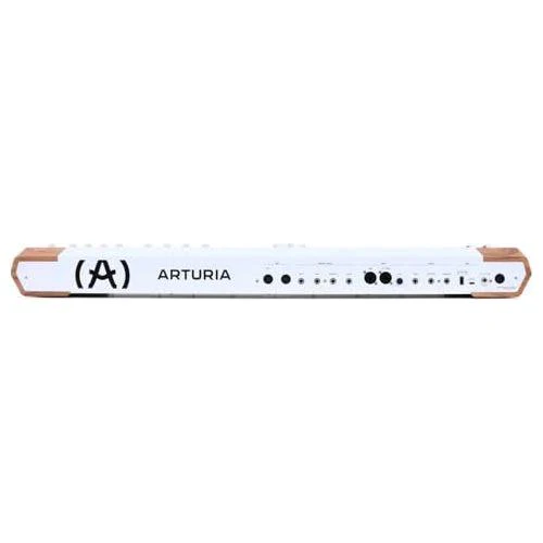 Arturia AstroLab Avant-garde 61-Key Stage Keyboard Bundle w/Pig hog PMID06 6ft MIDI Cable, Liquid Audio Sustain Pedal and Liquid Audio Polishing Cloth - Image 6