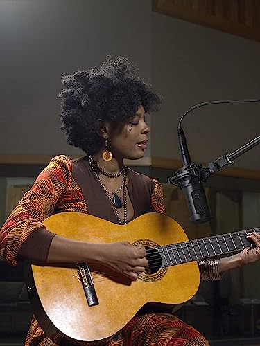 Audio-Technica AT2050 Multi-Pattern Condenser Microphone - Image 8