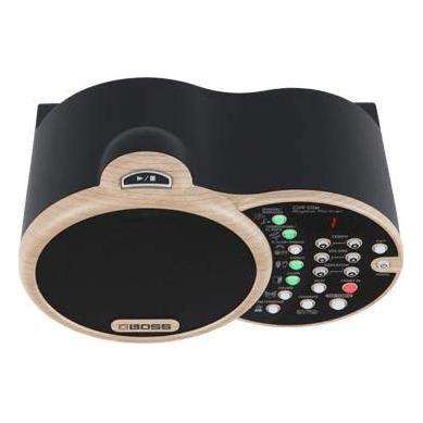 Boss DR-01S Rhythm Partner - Image 8