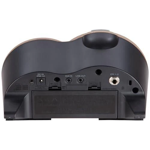 Boss DR-01S Rhythm Partner Bundle w/Boss FS-6 Dual Footswitch, 12-Pack Guitar Pick and Liquid Audio Polishing Cloth - Image 6