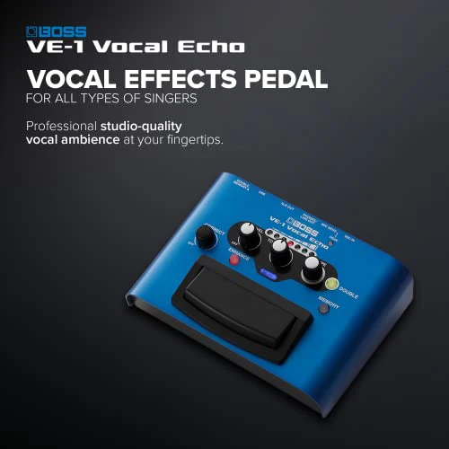 BOSS Vocal Echo Effects Processor Stompbox Guitar Pedal - Image 2