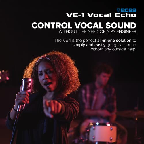 BOSS Vocal Echo Effects Processor Stompbox Guitar Pedal - Image 3