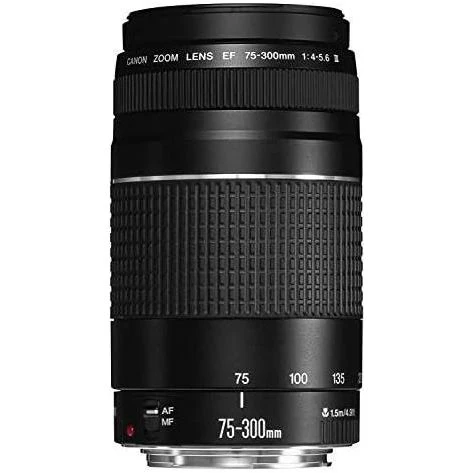 Canon EF 75-300mm f4-5.6 III Telephoto Zoom Lens for Canon SLR Cameras - Image 4