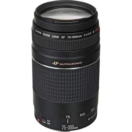 Canon EF 75-300mm f4-5.6 III Telephoto Zoom Lens for Canon SLR Cameras - Image 5