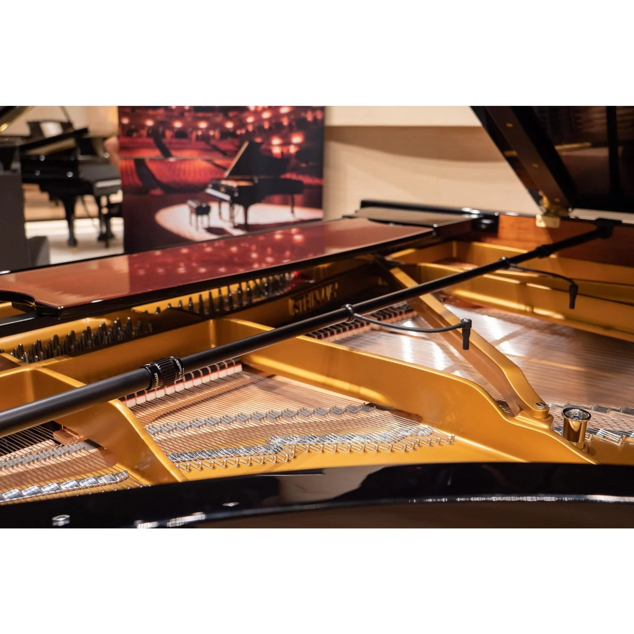 Earthworks Audio PM40 Omnidirectional Condenser Piano Microphone - Image 4