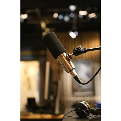 Earthworks ETHOS Streaming and Broadcasting Microphone  Silver - Image 4