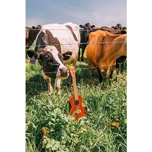Kala KA ukulele - Image 4