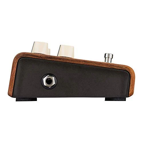 L.R. Baggs Align Reverb Acoustic Guitar Effect Pedal - Image 4