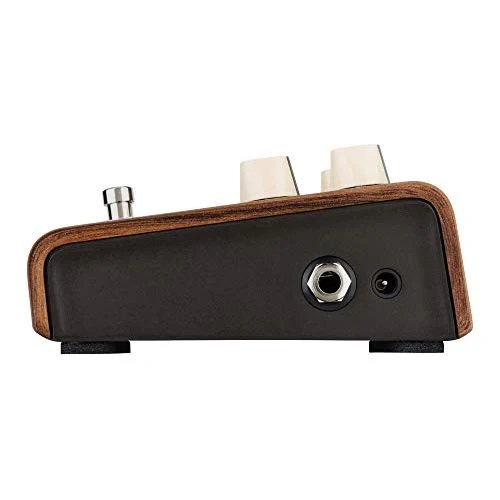 L.R. Baggs Align Reverb Acoustic Guitar Effect Pedal - Image 5