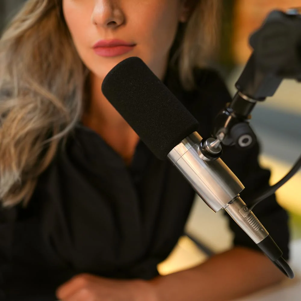 Liquid Audio Earthworks ETHOS Streaming & Broadcasting Microphone Silver Bundle with 10ft Pig Hog Microphone Cable & Polishing Cloth – Broadcast-Grade Dynamic Mic for Voice, Podcasting & Streaming - Image 6