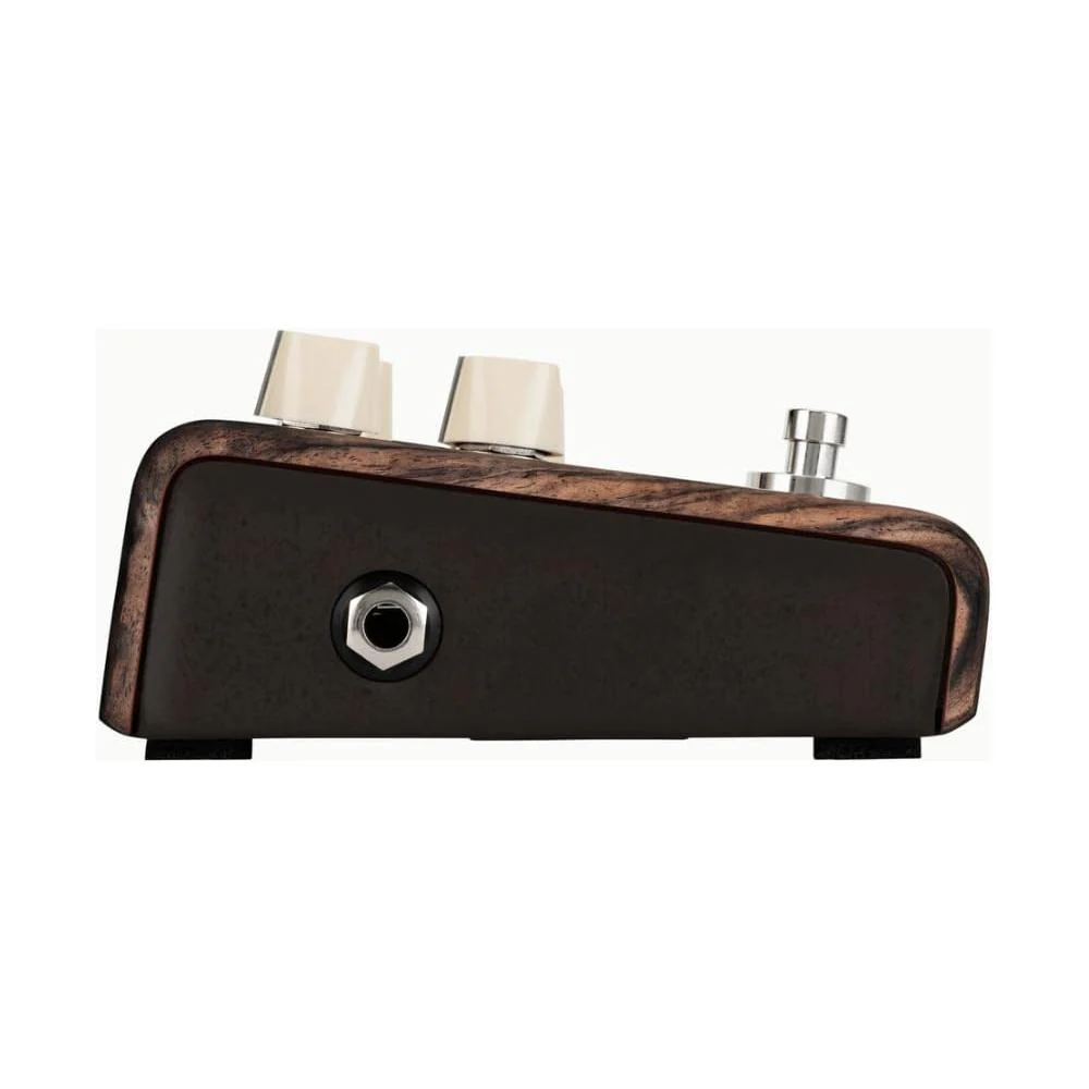 LR Baggs Align Series Chorus Acoustic Pedal Bundle w/ 12x Picks and Liquid Audio Polishing Cloth - Image 3
