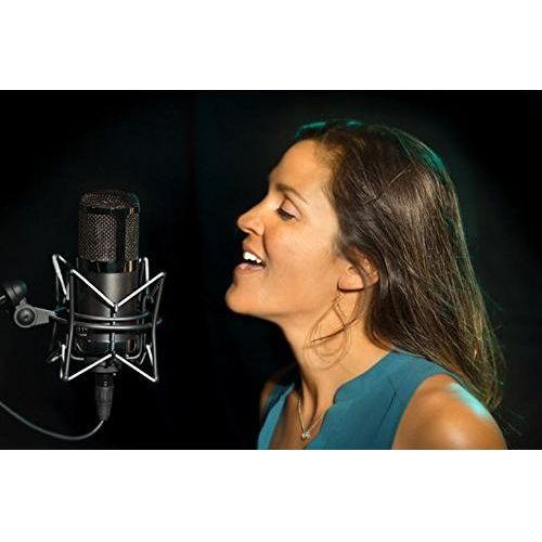 MXL CR89 Premium Low Noise FET Condenser Microphone - Image 5
