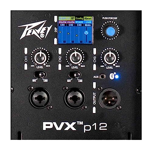 Peavey PVXp™ 12 Bluetooth® 12-Inch Powered Loudspeaker, 2-Yr Warranty, Combine Big Sound with Advanced DSP & Bluetooth, Pole Mount Molded-in, 980 Watts - Image 5