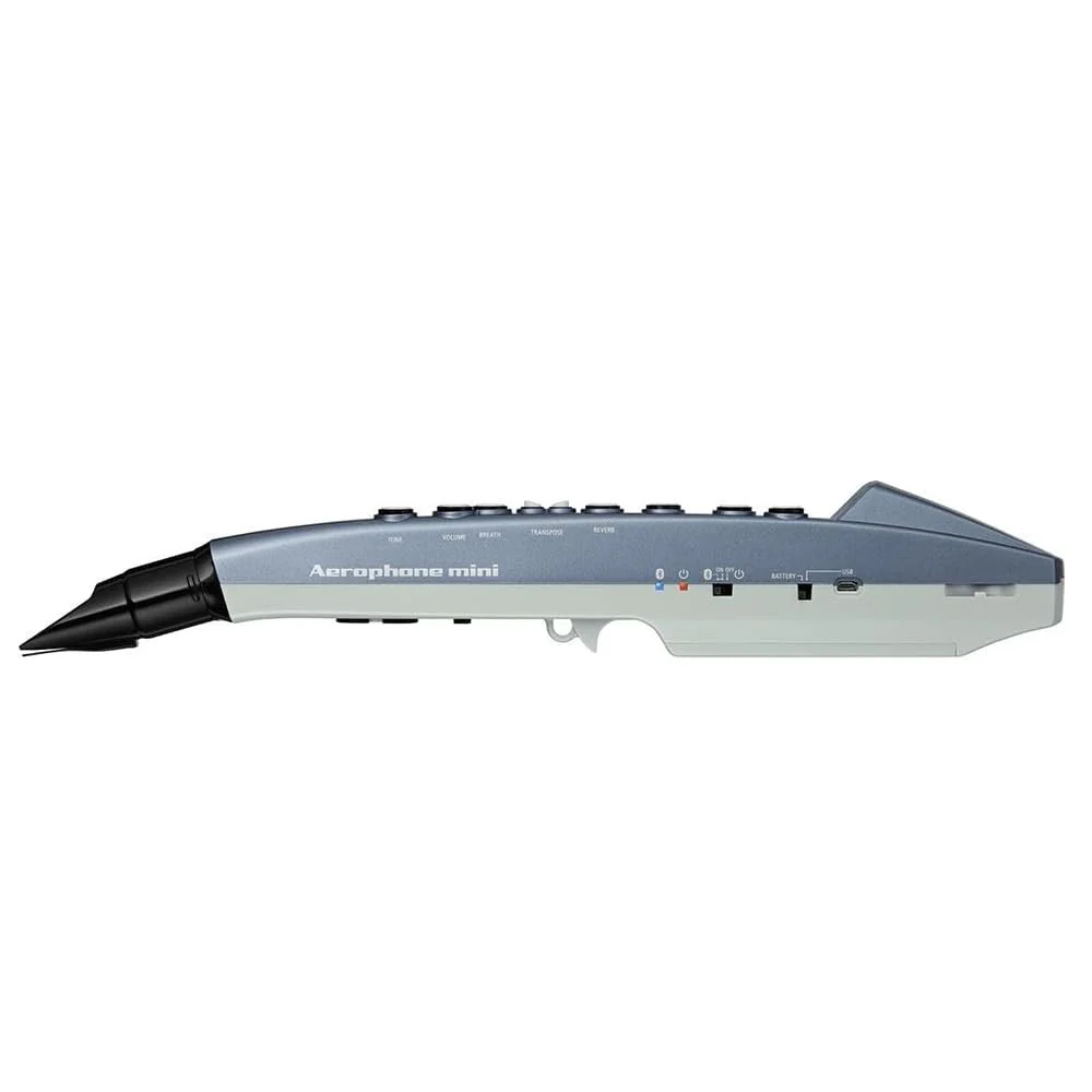 Roland AE-01 Aerophone Mini Digital Wind Instrument Blue Bundle with 10ft Pig Hog Black Woven Instrument Cable & Polishing Cloth – Compact Electronic Wind Controller with Built-In Sounds - Image 5
