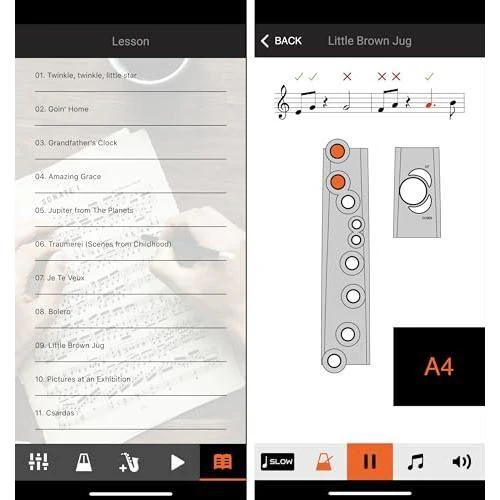 Roland Aerophone Digital Wind Instrument - Image 11