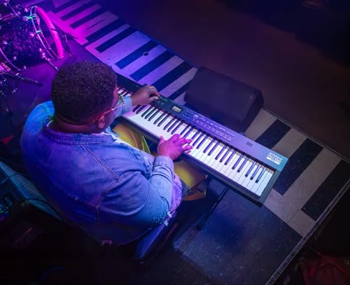 Roland Premium Digital Stage Piano RD-88 EX - Image 6