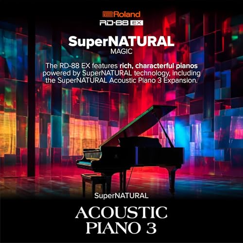 Roland Premium Digital Stage Piano RD-88 EX - Image 8