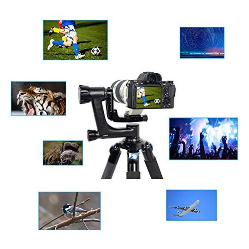 SIRUI PH-Series Carbon Fiber Gimbal Head - Image 7