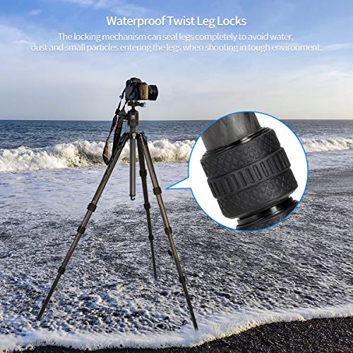 SIRUI ST Carbon Fiber Tripod Kits with Triangular Center Column - Image 4