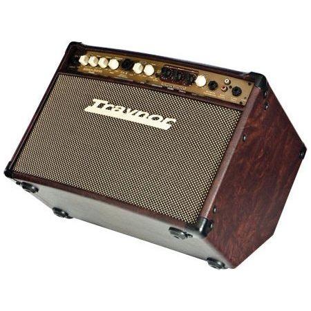 Traynor AM Studio Acoustic Amplifier 65 Watts 8 Inch Woofer 1 Inch Tweeter Leatherette Finish - Image 2