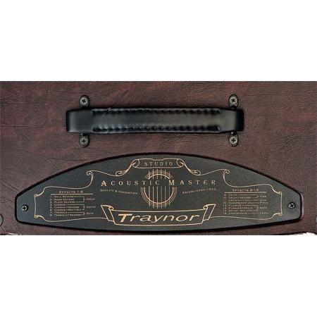 Traynor AM Studio Acoustic Amplifier 65 Watts 8 Inch Woofer 1 Inch Tweeter Leatherette Finish - Image 4