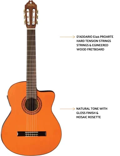 Washburn Classical C5CE Cutaway , Acoustic Electric Guitar - Image 3
