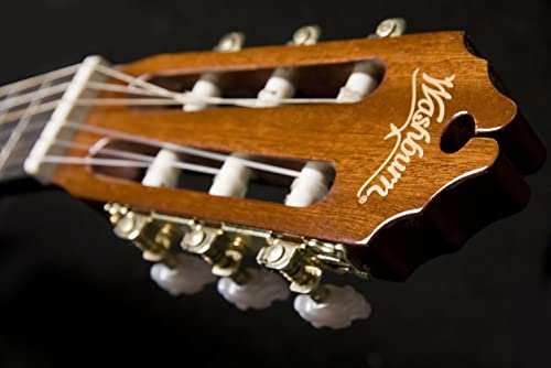 Washburn Classical C5CE Cutaway , Acoustic Electric Guitar - Image 6