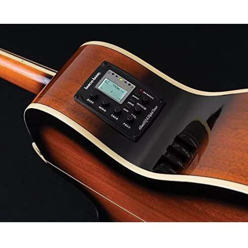 Washburn Festival Series EA15ATB Ac - Image 3